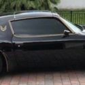 Beautiful ultra-collectable &#034;Bandit&#034;
