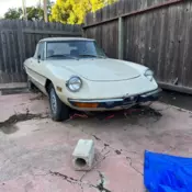 Best Year Alfa Spider