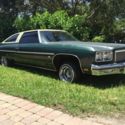 BIG BLOCK V8 454 MOTOR, GLASSHOUSE, LOWRIDER, DONK, HOTROD, RATROD, PATINA, SS