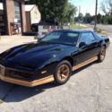 Black and Gold T Top Pontiac Trans Am 1984