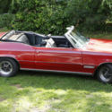 Buick Skylark: Red Convertible