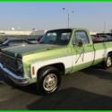 C 1976 Chevrolet C20 Pickup 8-Cylinder gas Automatic NO RESERVE
