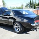 California survivor in mint condition - Silicon Valley discovery -  Black Beauty