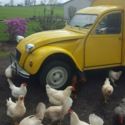 Citroen AK400 (2CV)