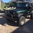CJ7 1983 4.2l