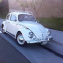 Classic 1969 VW Bug
