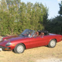 Classic 1981 Alfa Romeo Spider Veloce