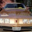 Classic 1981 Pontiac Firebird