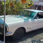 classic 66 ford mustangs straight 6 200cc engine