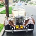 Classic Duchess Roadster