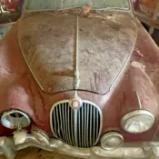 classic jaguar