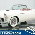 Classic vintage first year baby bird T-bird restored