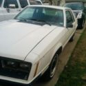 Clean 1979 ford mustang notchback project car/  1979 is the 25th aniversary year
