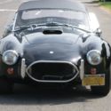 Contemporary Cobra