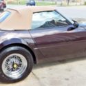 DAYTONA SPYDER 365 GTB replica kit car Miami Vice Corvette Ferrari
