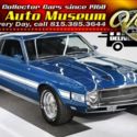 Documented Shelby, great colors and features!