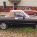 Dual Webers 1978 Alfa Romeo Spider Veloce Convertible 2-Door 2.0L
