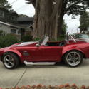 Factory 1965 Shelby Cobra