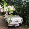 Fiat 600 1969