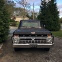 ford F 100 truck