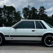 FORD MUSTANG 1981