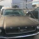 Ford Mustang Coupe 1965