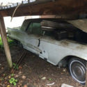 Ford Thunderbird needs some TLC!