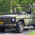 GD 250 Diesel 5 Speed Long wheelbase WOLF 10 Seater