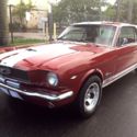 GORGEOUS 1966 FORD MUSTANG&#034;C&#034; CODE COUPE, SHELBY GT350 PACKAGE, MANUAL, 289-V8!