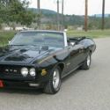 GORGEOUS TRIPLE BLACK GTO CONVERTIBLE !!