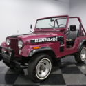 GR8 VALUE, ORIGINAL 304 V8, 3 SPD MANUAL, RARE RENEGADE PLUMB COLOR, 4X4, HONEST