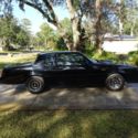 Grand National (NO RESERVE)