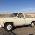 Grandmas 1973 c-10 chevy truck