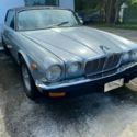 Grey/Blue Jaguar Collectible
