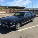 GT A-Code. Documented With Original Buck Tag. Original Body Panels. Automatic.