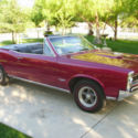 GTO Convertible, Maroon