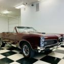 GTO Tribute Convertible