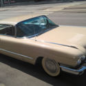 immaculate survivor CADILLAC