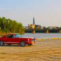Immaculately Restored 1966 Mustang Fastback - Shelby GT350