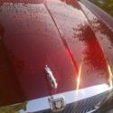 JAGUAR XJ6 CHERRY COLORED JAGUAR CAR