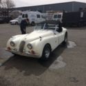 jaguar xk120 1953