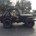 Jeep CJ 5  1979- Ponte Vedra, Florida 32082