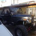 JEEP CJ project
