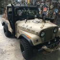JEEP CJ5 USA SPECIAL TRIBUTE