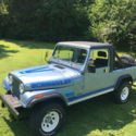 Jeep Scrambler Base Sport Utility 2-Door 4.2L 1981