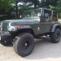 Jeep Wrangler 4.0 YJ