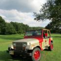 JURASSIC PARK JEEP 1994 2dr 2.5L I4 Manual 4WD SUV (TURN KEY!)