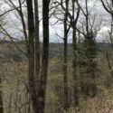 Land for sale or trade for 69 camaro