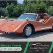 Large flake paint job! Cammed 1600CC flat-4 & manual! Gullwing doors included!