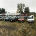 Lot of Saab Cars and parts